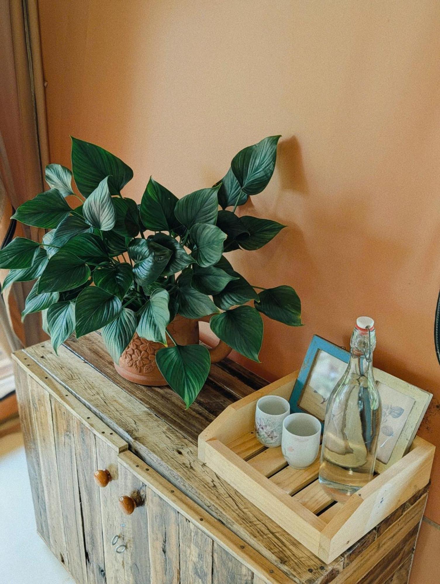 Binifarm Tropical Retreat Ho Chi Minh City