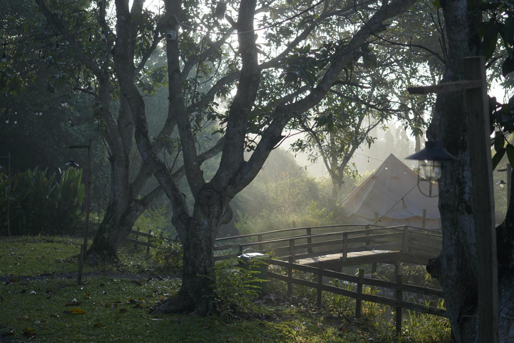 Tente de luxe Binifarm Tropical Retreat *