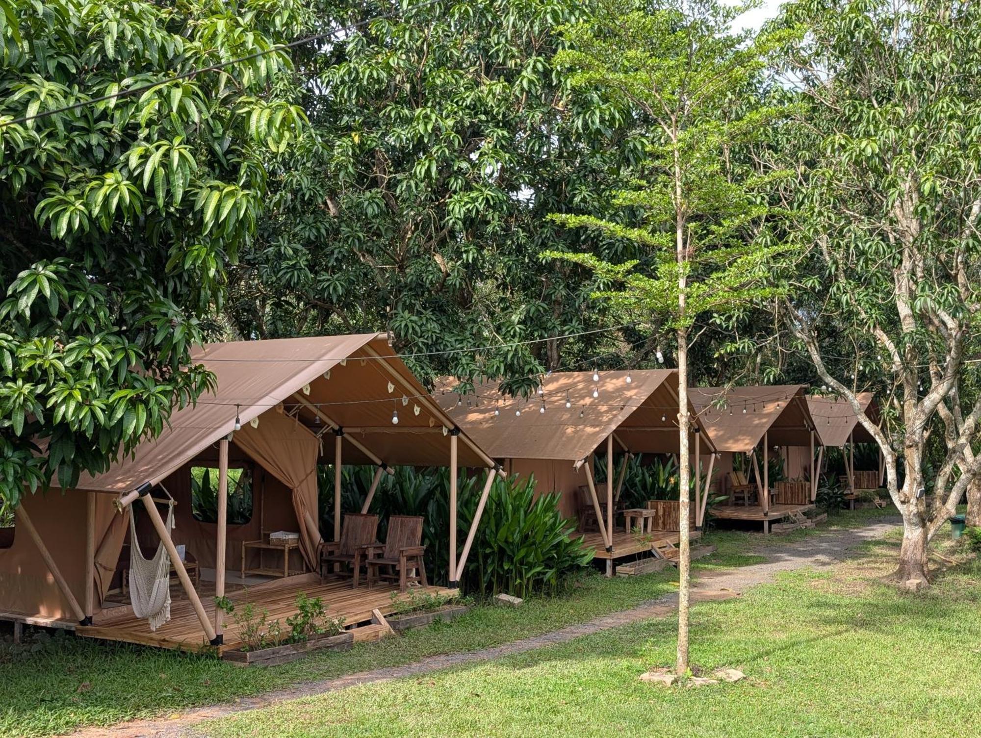 Binifarm Tropical Retreat Tente de luxe *