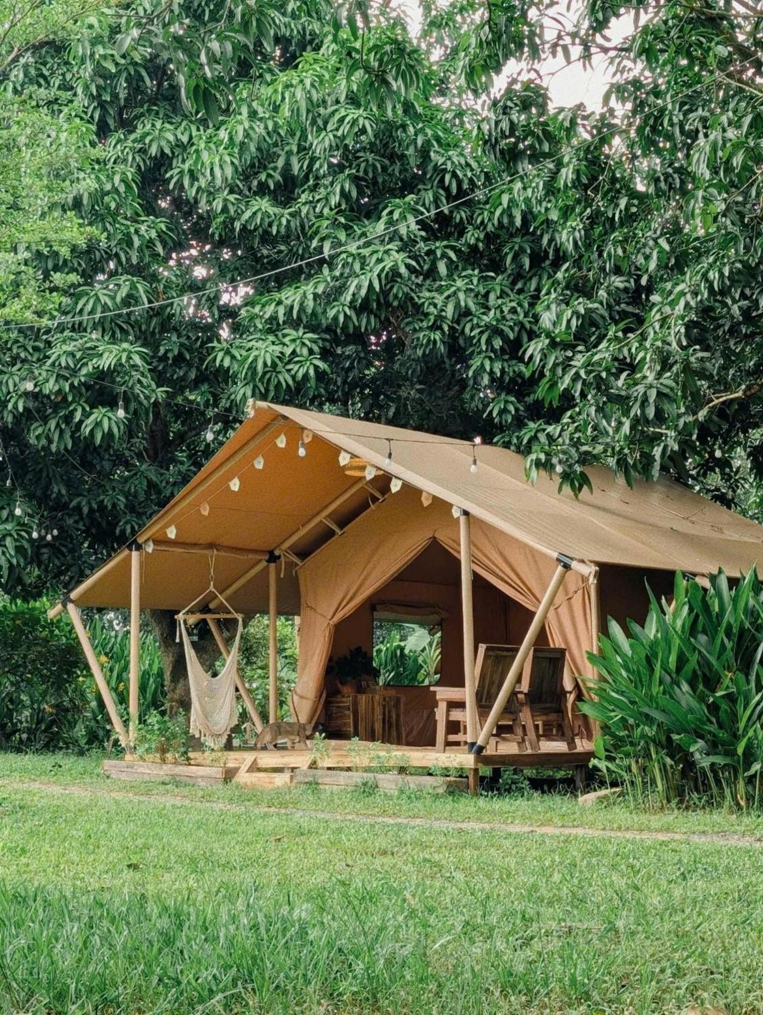Tente de luxe Binifarm Tropical Retreat